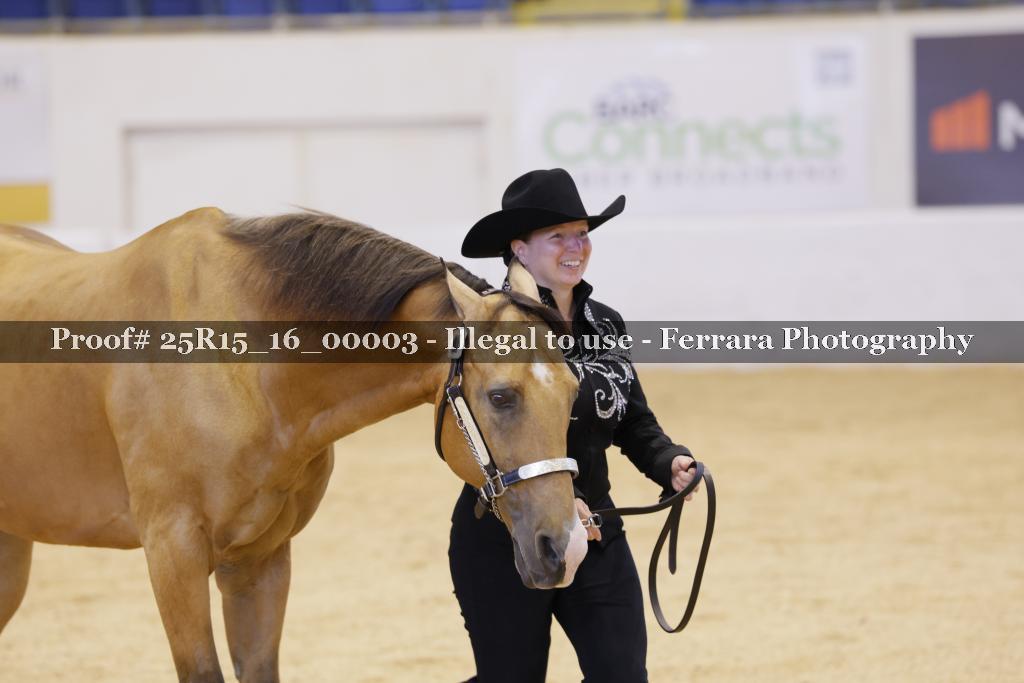 Proof Number 25R15_16_00003