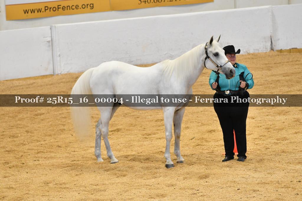 Proof Number 25R15_16_00004