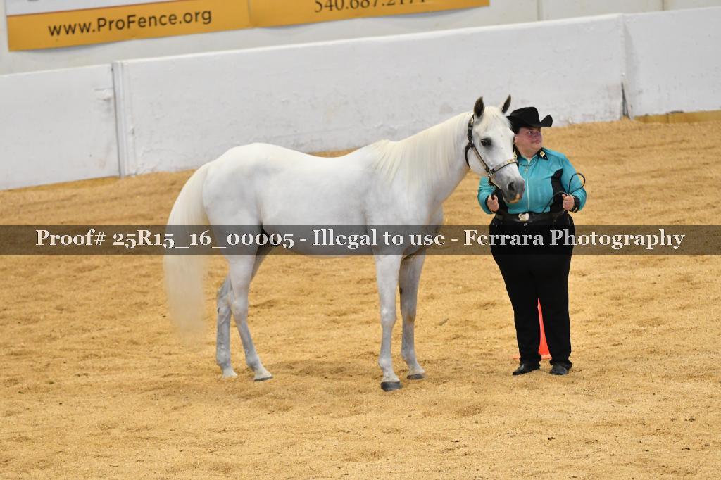Proof Number 25R15_16_00005
