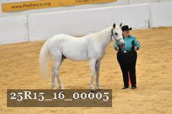 25R15_16_00005 thumbnail
