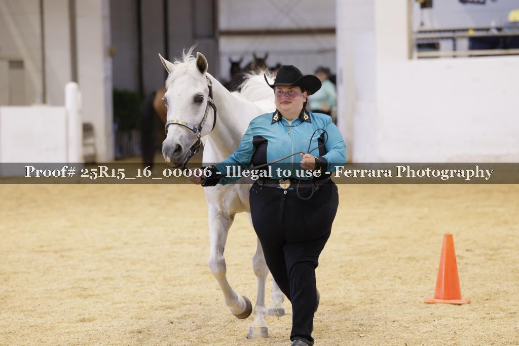 Proof Number 25R15_16_00006