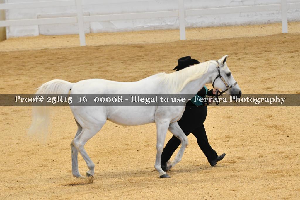 Proof Number 25R15_16_00008