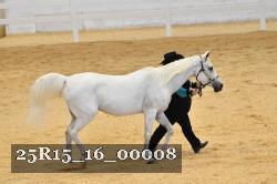 25R15_16_00008 thumbnail