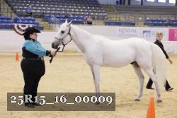 25R15_16_00009 thumbnail