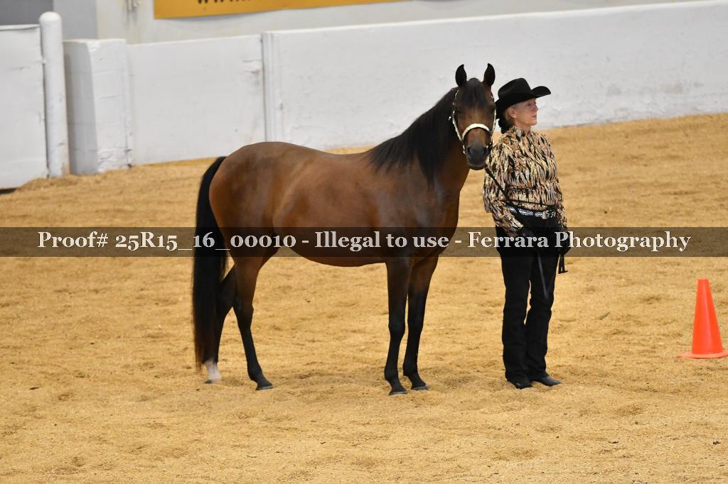 Proof Number 25R15_16_00010