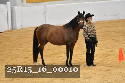 25R15_16_00010 thumbnail