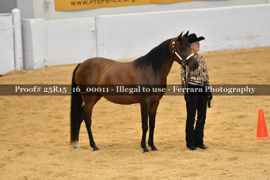 Proof Number 25R15_16_00011