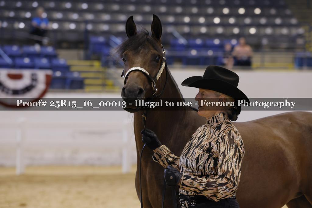 Proof Number 25R15_16_00013