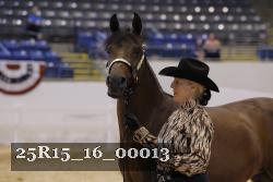 25R15_16_00013 thumbnail