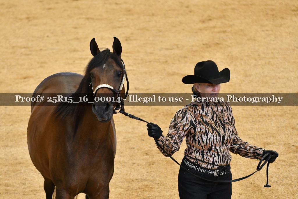 Proof Number 25R15_16_00014