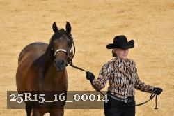 25R15_16_00014 thumbnail