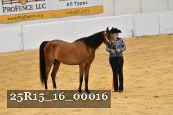 25R15_16_00016 thumbnail