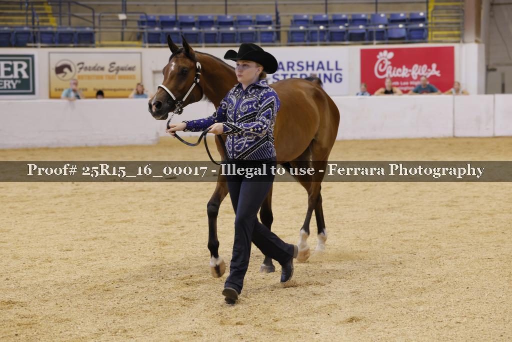 Proof Number 25R15_16_00017