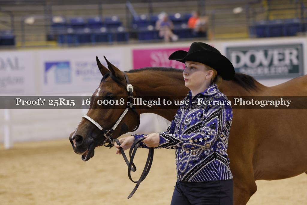 Proof Number 25R15_16_00018