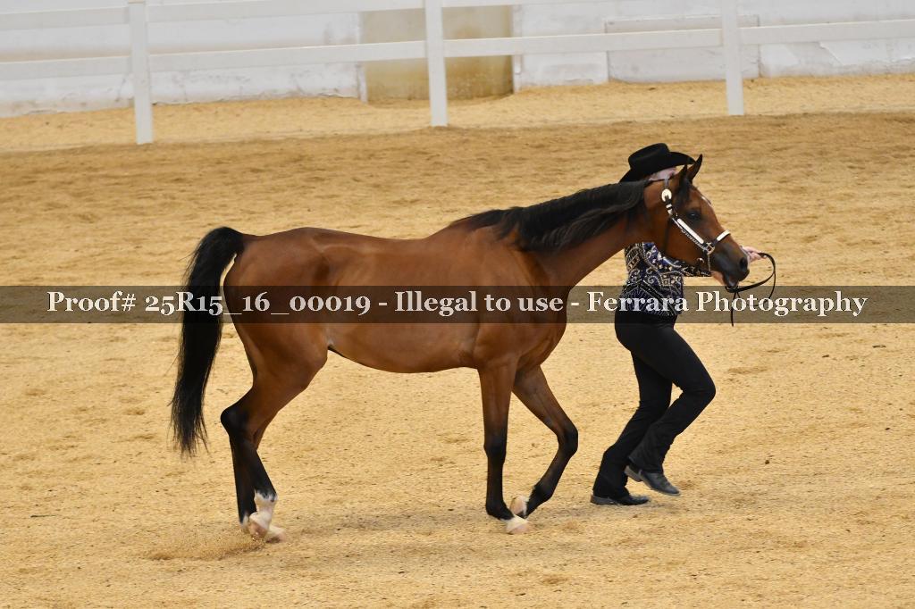Proof Number 25R15_16_00019