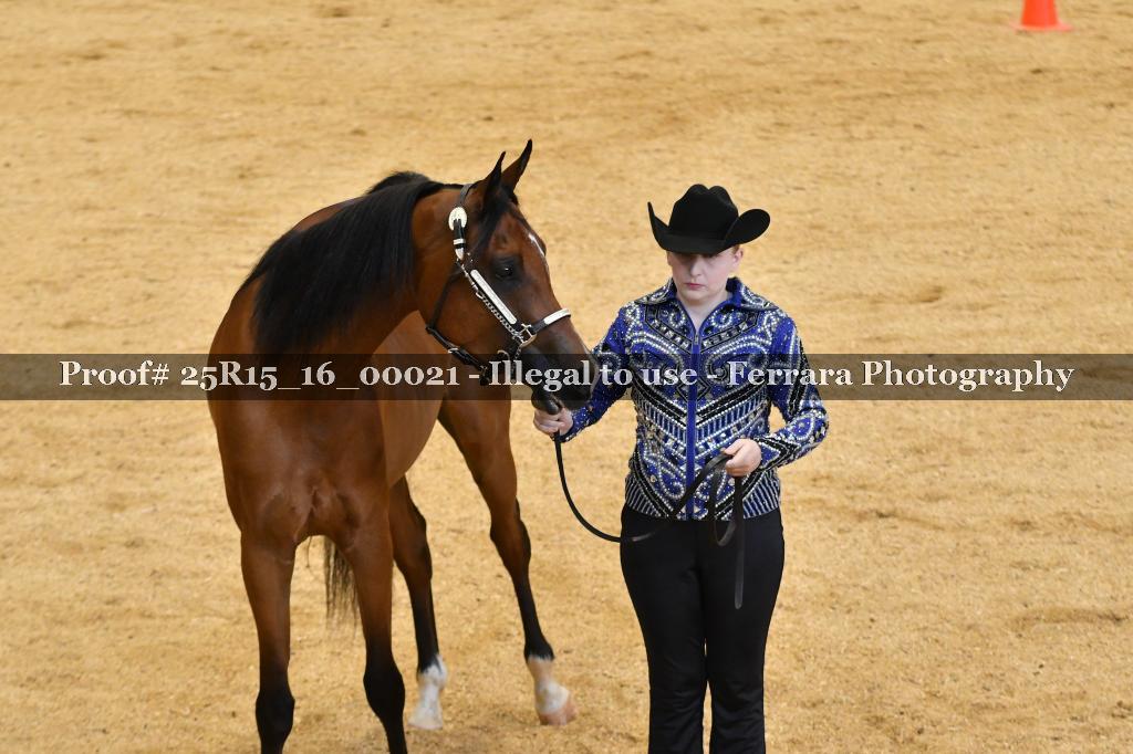 Proof Number 25R15_16_00021