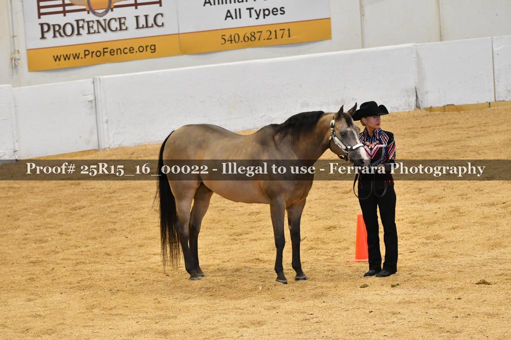 Proof Number 25R15_16_00022