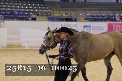 25R15_16_00025 thumbnail