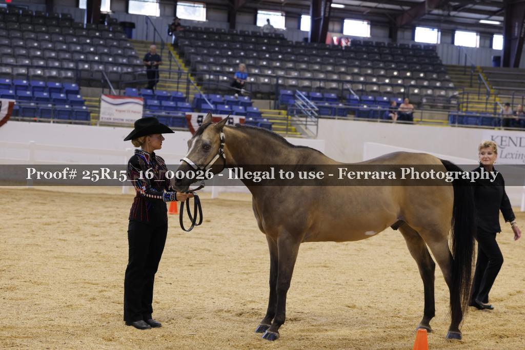Proof Number 25R15_16_00026