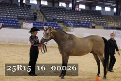 25R15_16_00026 thumbnail