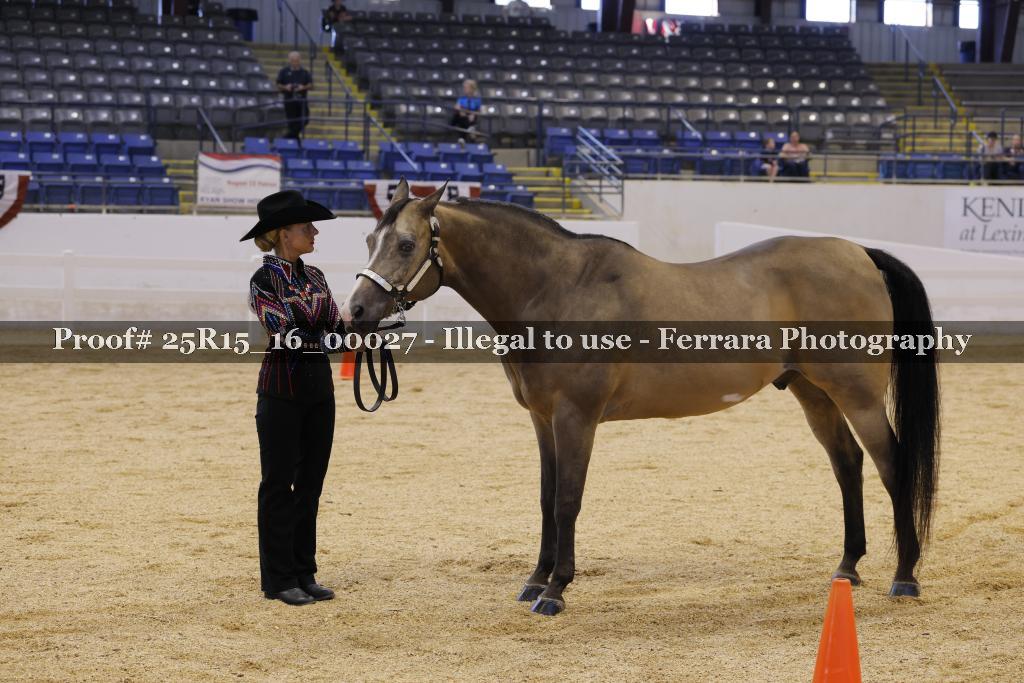 Proof Number 25R15_16_00027