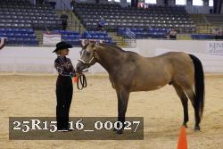 25R15_16_00027 thumbnail