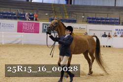 25R15_16_00028 thumbnail
