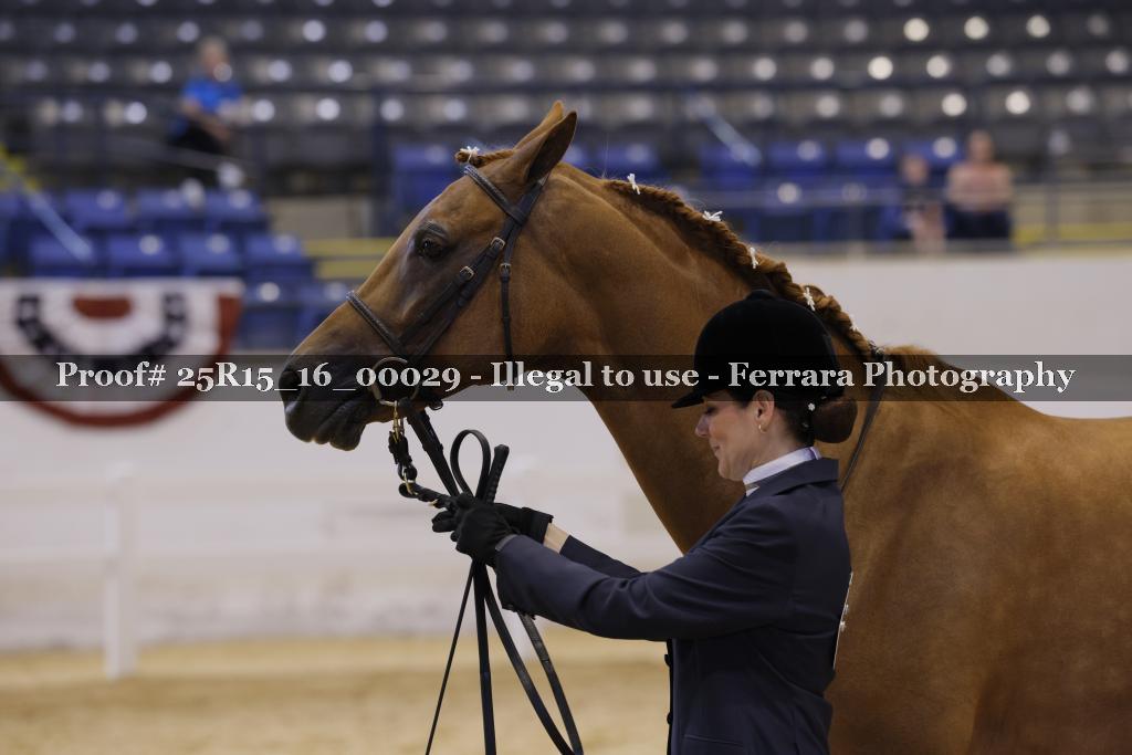 Proof Number 25R15_16_00029