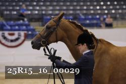 25R15_16_00029 thumbnail