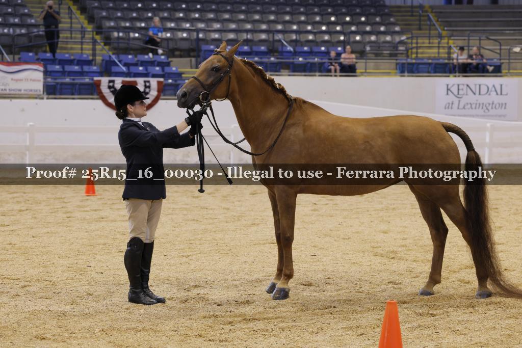 Proof Number 25R15_16_00030