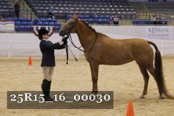 25R15_16_00030 thumbnail