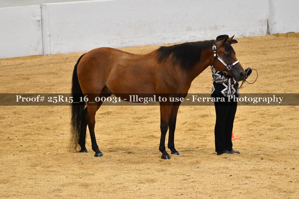 Proof Number 25R15_16_00031