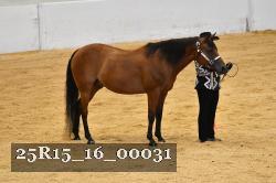 25R15_16_00031 thumbnail