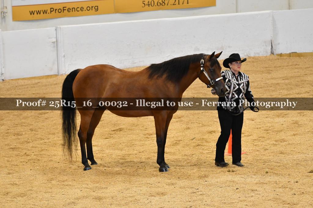 Proof Number 25R15_16_00032