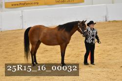 25R15_16_00032 thumbnail