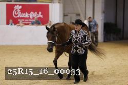 25R15_16_00033 thumbnail