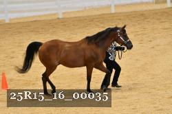 25R15_16_00035 thumbnail