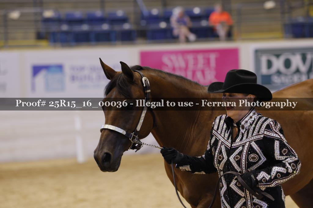 Proof Number 25R15_16_00036