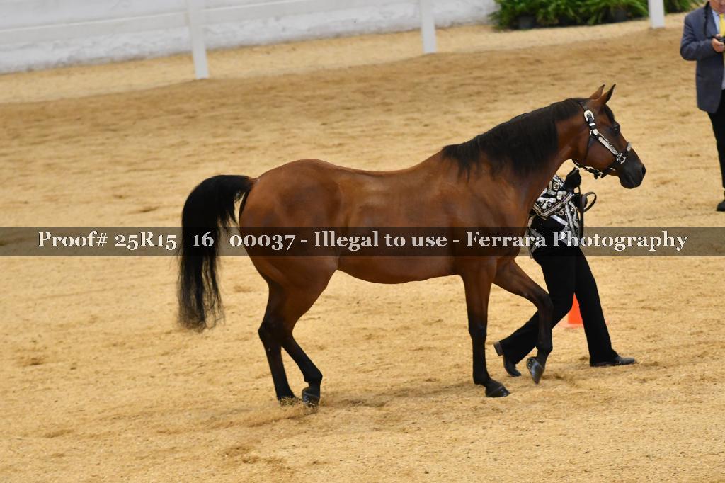 Proof Number 25R15_16_00037