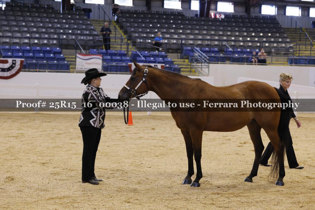 Proof Number 25R15_16_00038