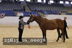 25R15_16_00038 thumbnail