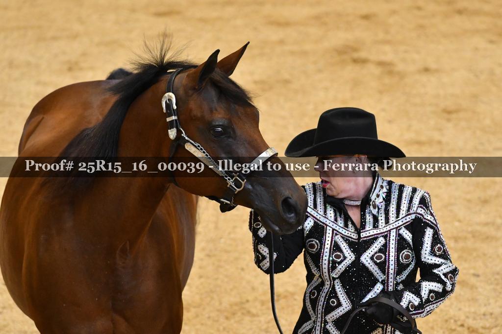 Proof Number 25R15_16_00039