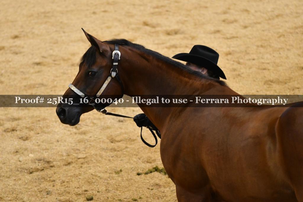 Proof Number 25R15_16_00040