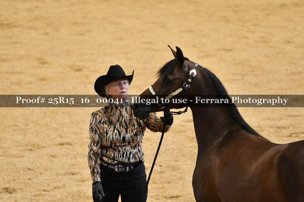 Proof Number 25R15_16_00041