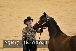 25R15_16_00041 thumbnail