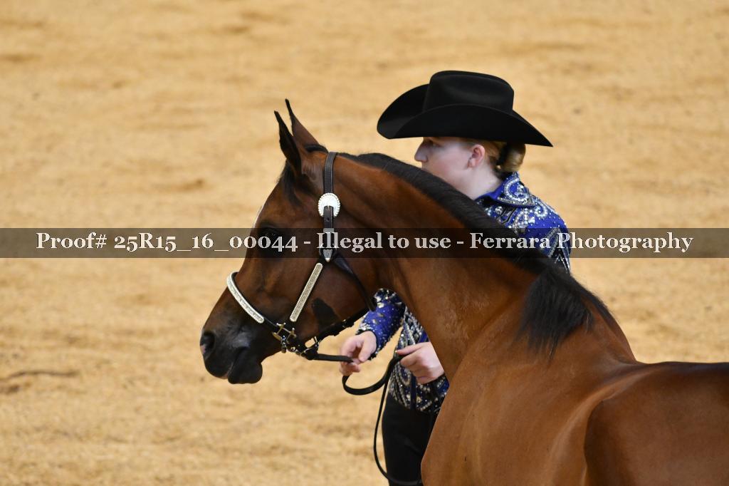 Proof Number 25R15_16_00044