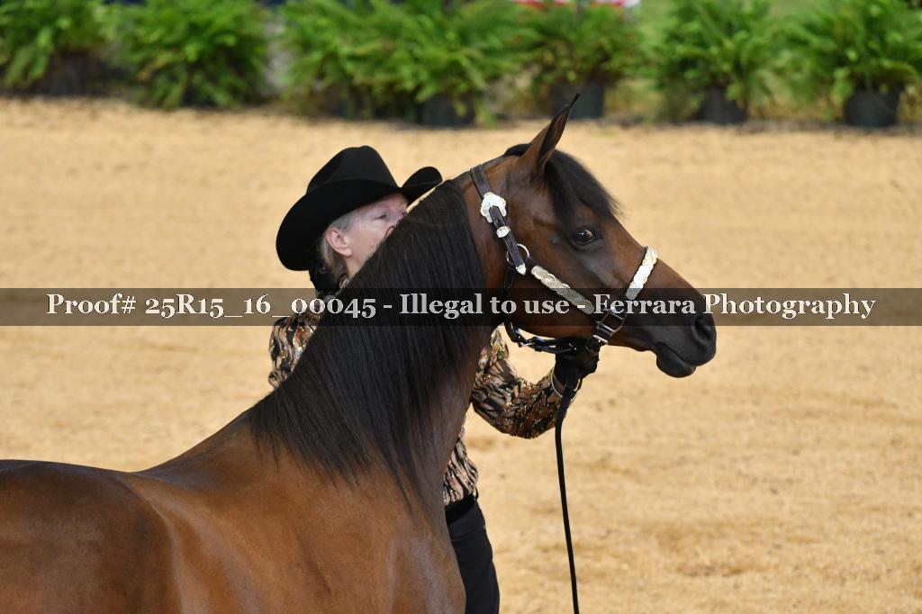 Proof Number 25R15_16_00045