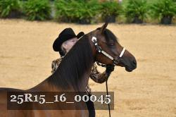 25R15_16_00045 thumbnail