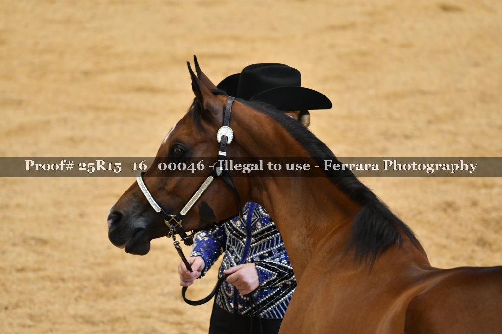 Proof Number 25R15_16_00046