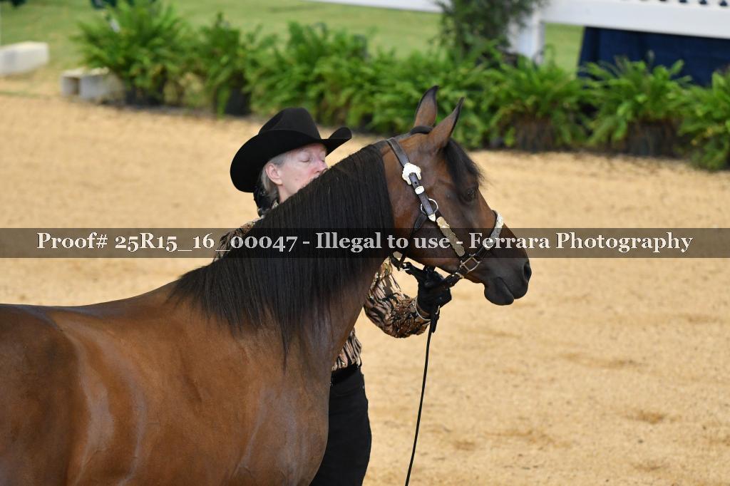 Proof Number 25R15_16_00047